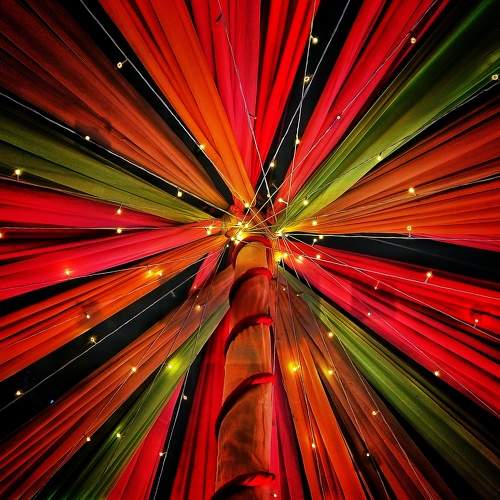 Photo #7324732
