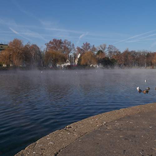 Photo #7324990