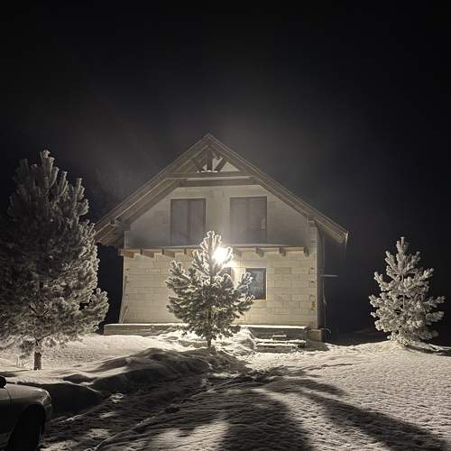Photo #7325023