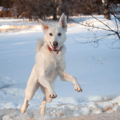 Photo #7325245