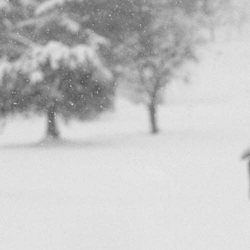 Photo #7325384