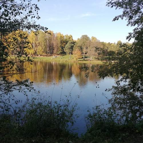 Photo #7325554