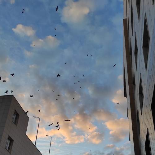 Photo #7325556