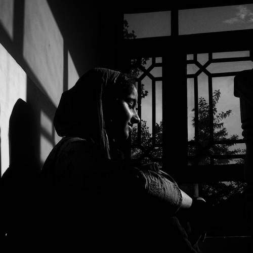 Photo #7325665