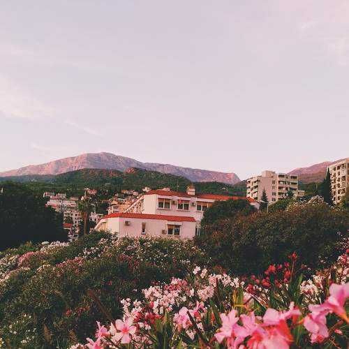 Photo #7325735