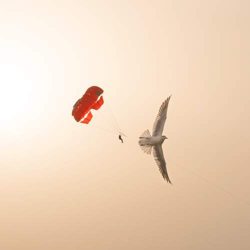 Photo #7325813