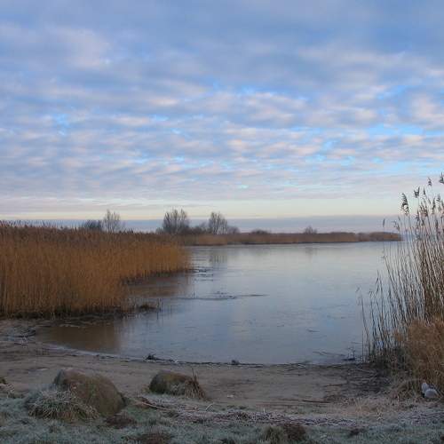 Photo #7325831