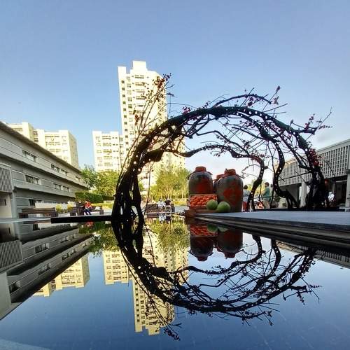 Reflection of Faith