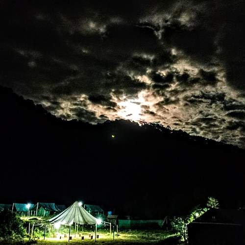 Photo #7326028