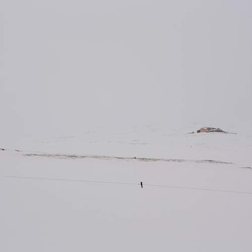 Photo #7326165
