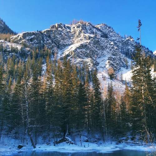Photo #7326172
