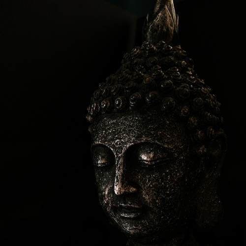 Photo #7326370