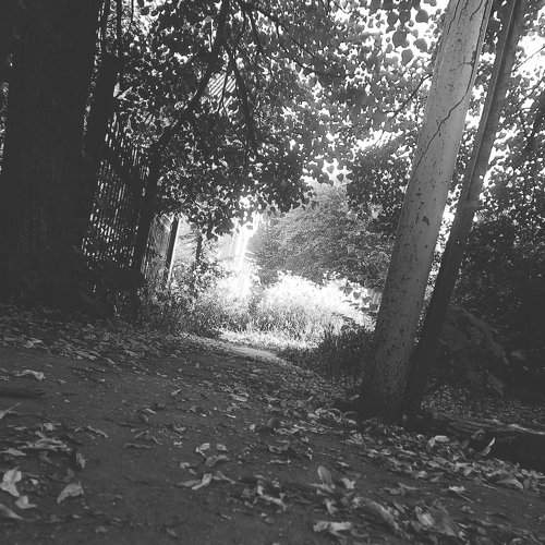 Photo #7326501