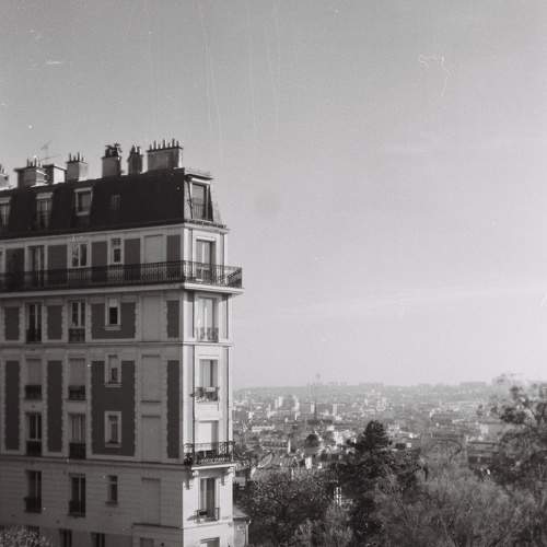 Photo #7326607