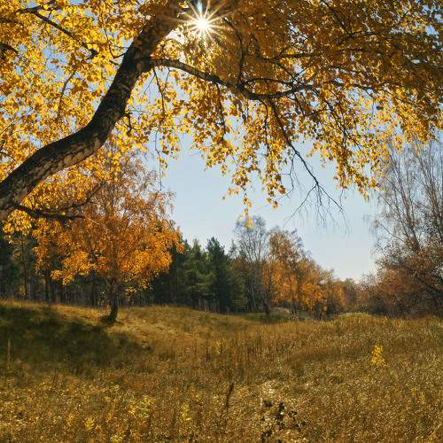 Photo #7326667