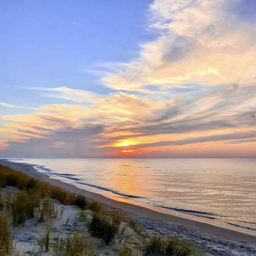Photo #7326669