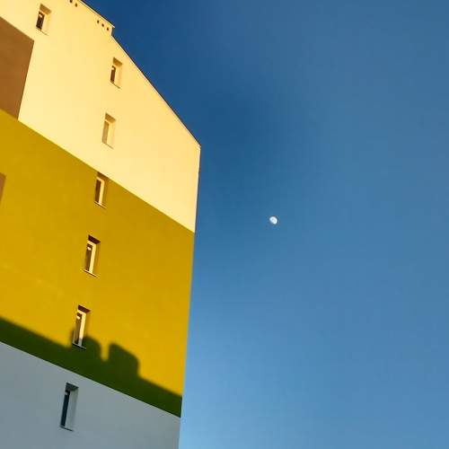 Photo #7326876