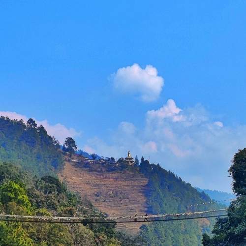Photo #7326934