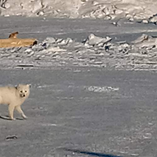 Photo #7327310