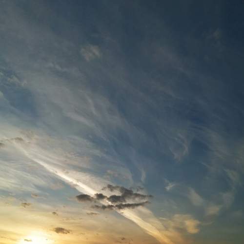 Photo #7327327