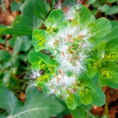 Photo #7327471