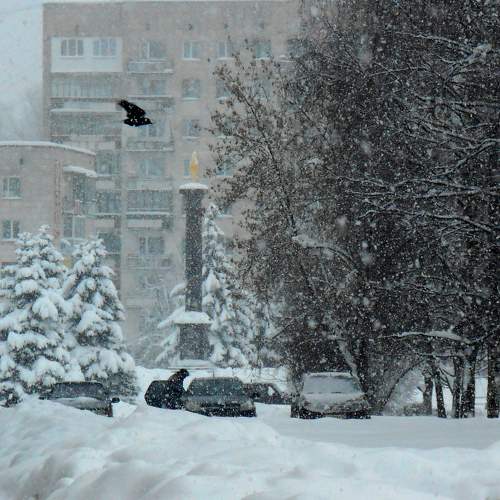 Тихвин. Зима в городе