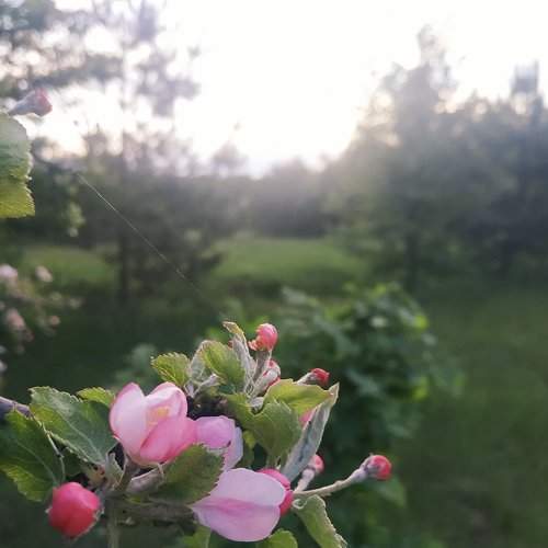 Photo #7327564