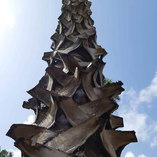 Photo #7327590