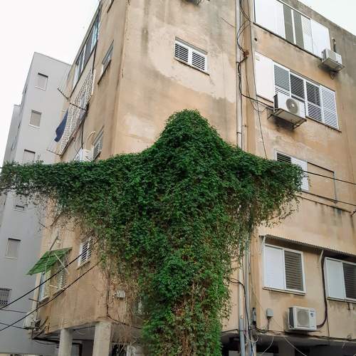 Photo #7327633