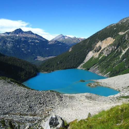 Photo #7327702