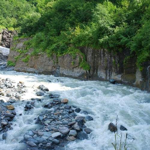 Photo #7327707