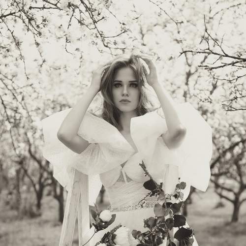 Photo #7327708