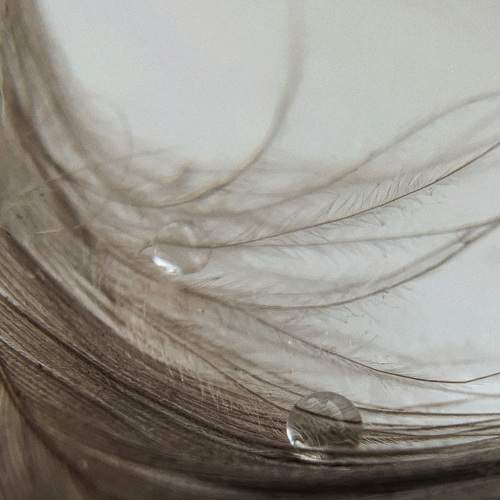 Photo #7327853