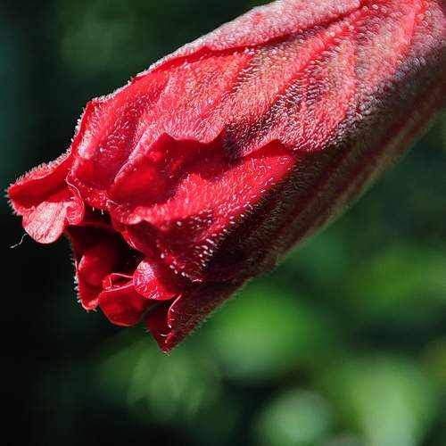 Photo #7328004