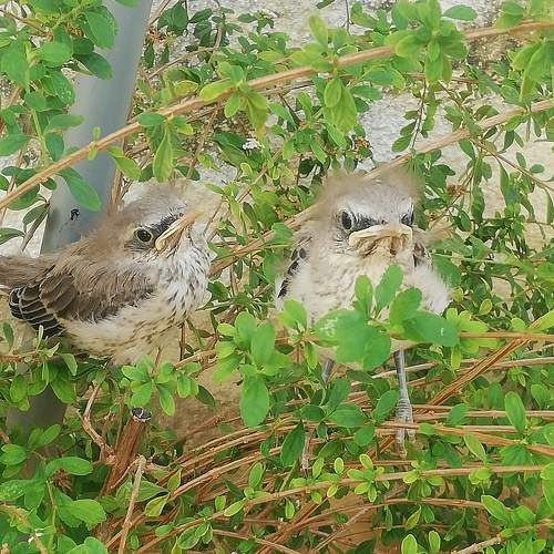 Photo #7328148