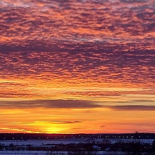 Photo #7328173