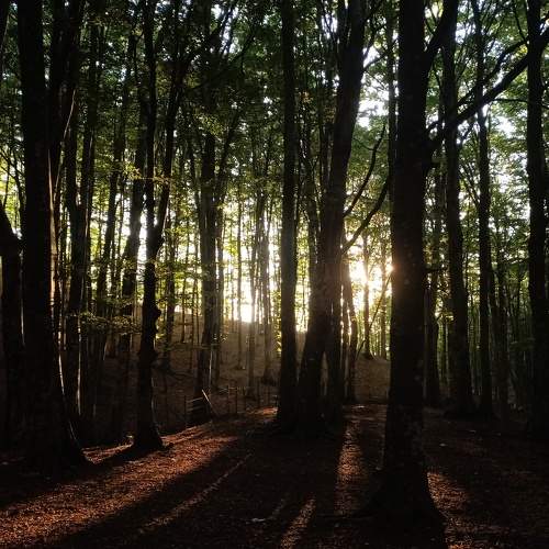 Photo #7328313
