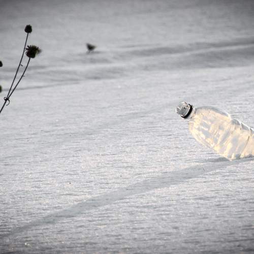 Photo #7328359