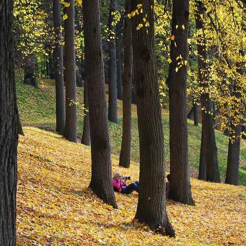 Photo #7328403
