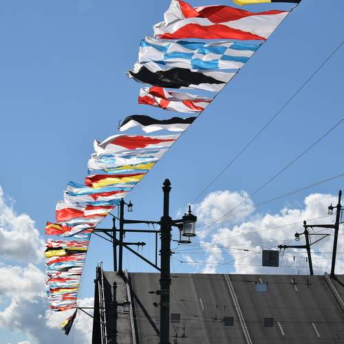 Photo #7328602