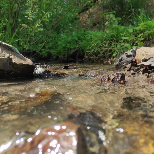 Photo #7328680