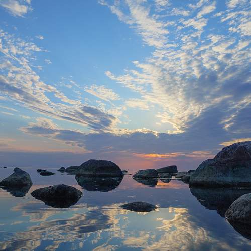 Photo #7328765
