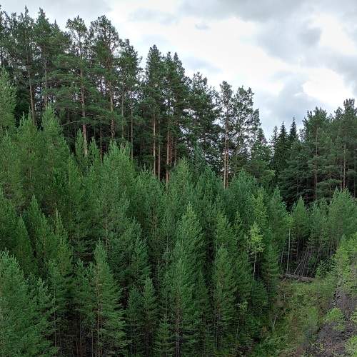 Photo #7328817