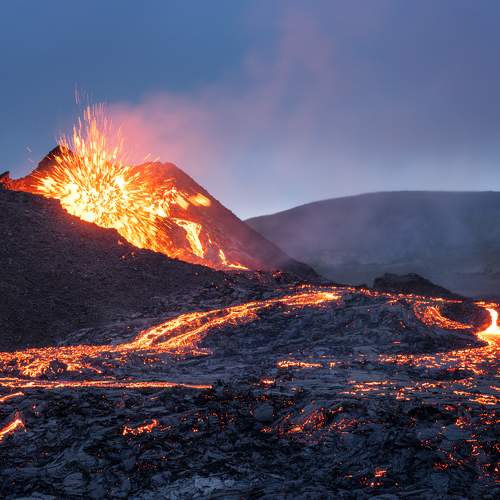 Photo #7328863