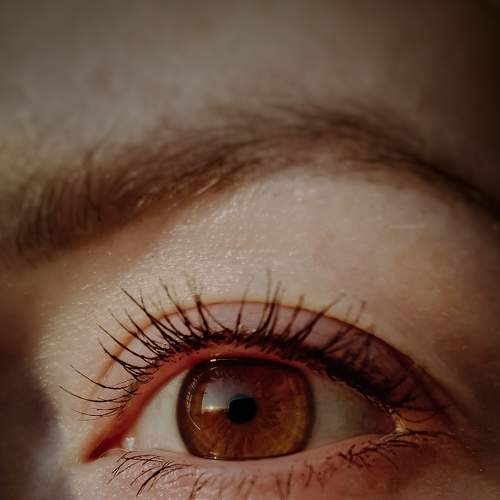 Photo #7329071
