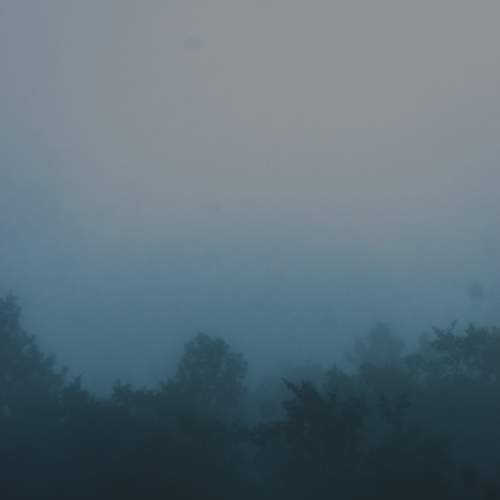 Photo #7329115