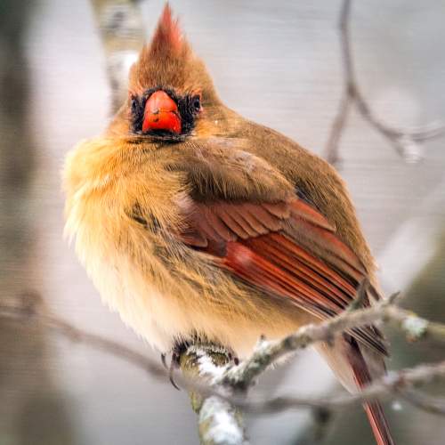 Photo #7329186