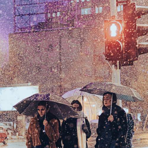 Photo #7329242