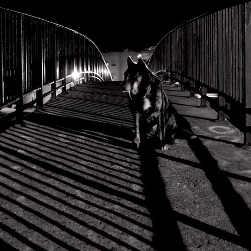 Photo #7329256