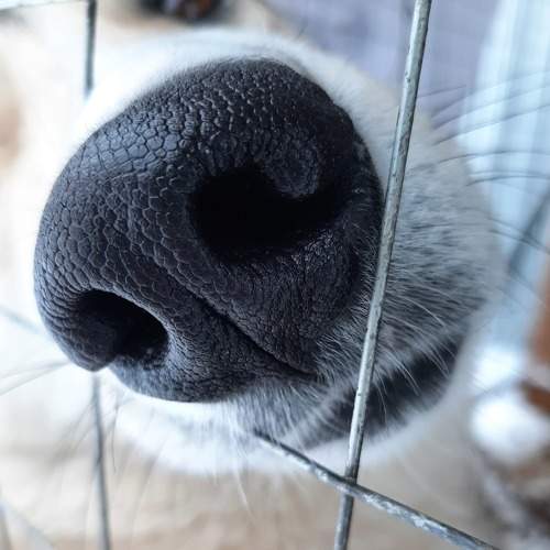 Photo #7329430